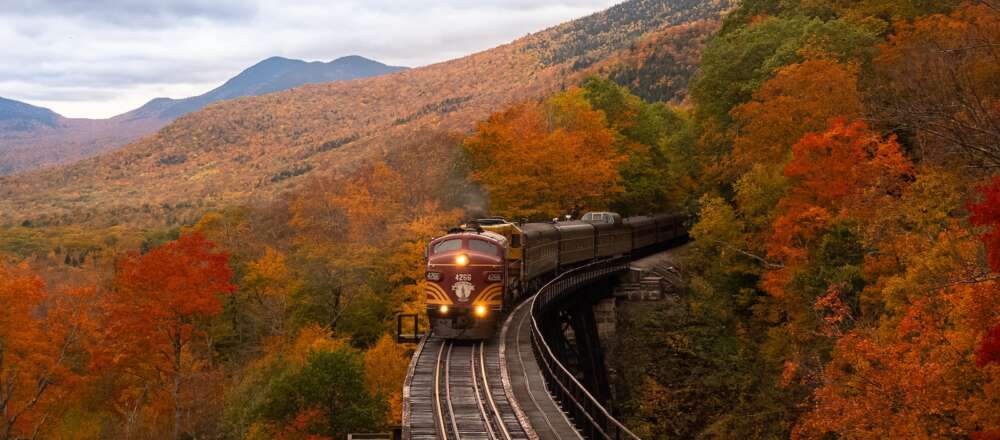 A brown and gold passenger trains heads towards the camera. Tree covered hills make up the landscape around it. It is autumn.