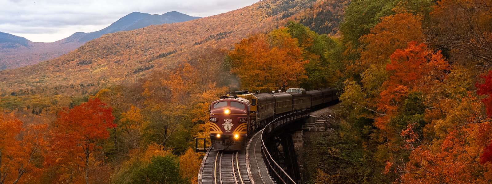 A brown and gold passenger trains heads towards the camera. Tree covered hills make up the landscape around it. It is autumn.