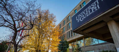 U of G Launches New Equity, Diversity and Inclusion eBook