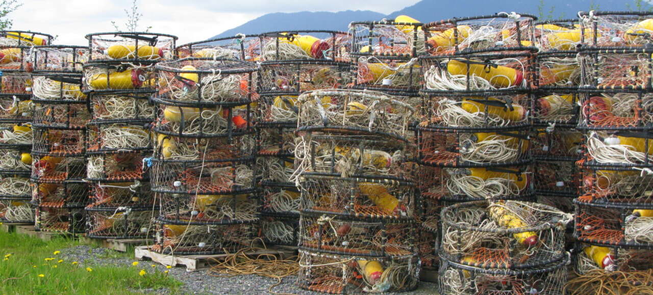 A stack of nets made of rope with buoys inside them. In the background are mountains.