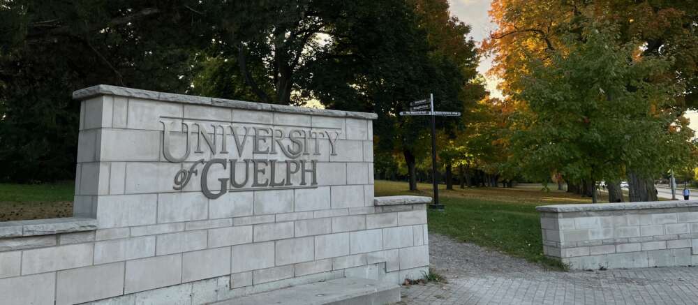 The University of Guelph sign is pictured among trees.