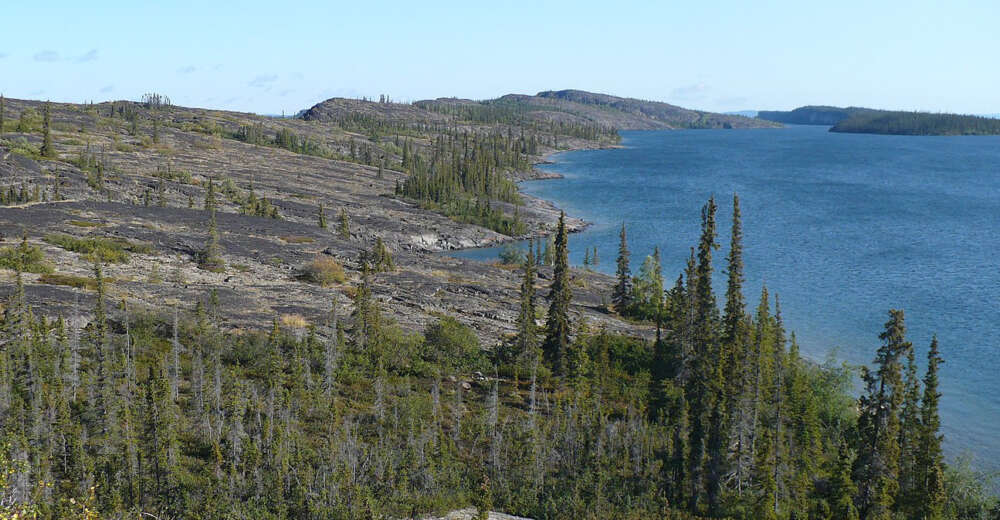 an image of forest around a lake on the Canadian Shield
