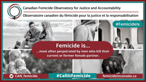 CGOJA infographic detailing femicide