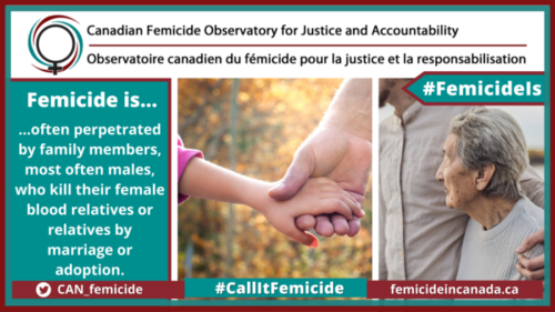 CFOJA infographic on femicide