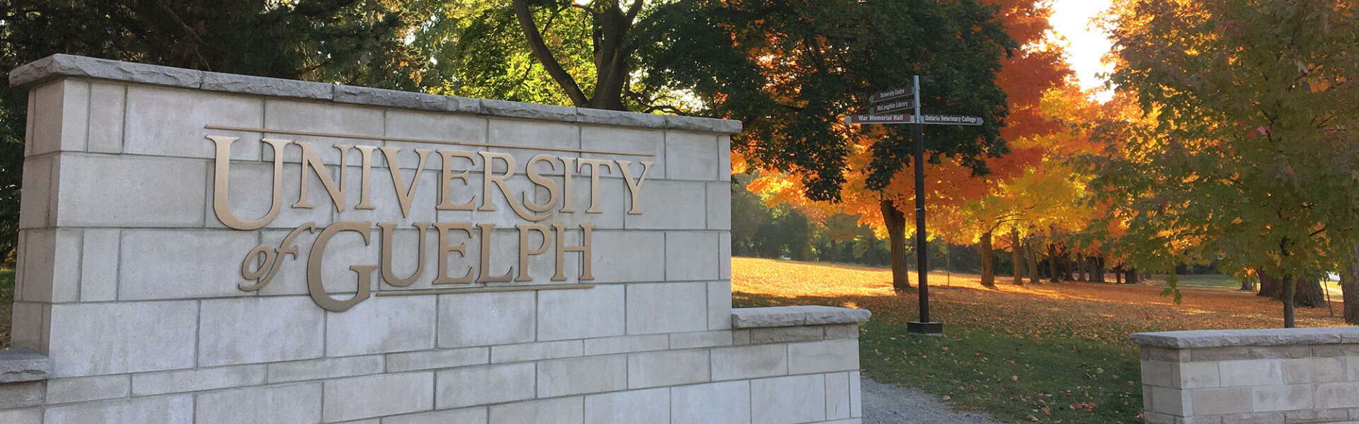 A grey stone wall with "University of Guelph" in gold letters in front of a treed field.