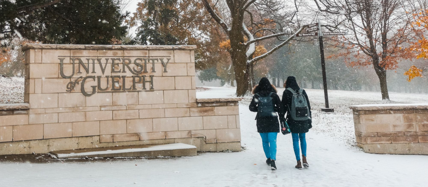Students wearing backpacks walk by the University of Guelph entrance sign