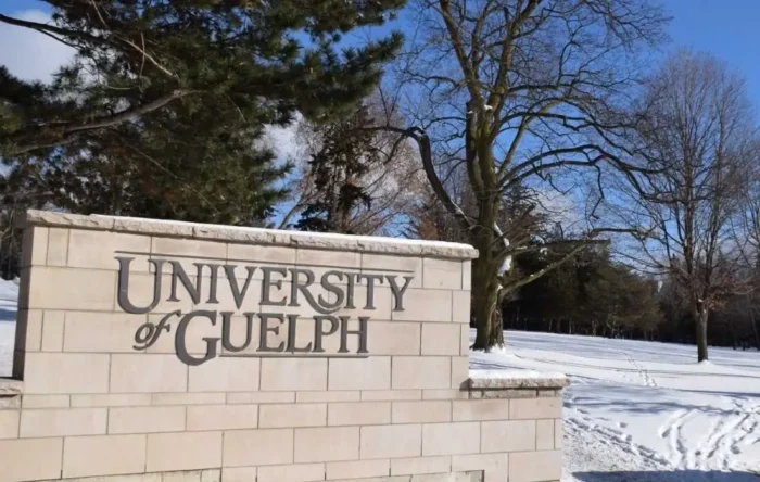A stone wall with the letters of University of Guelph with a snowy lawn behind
