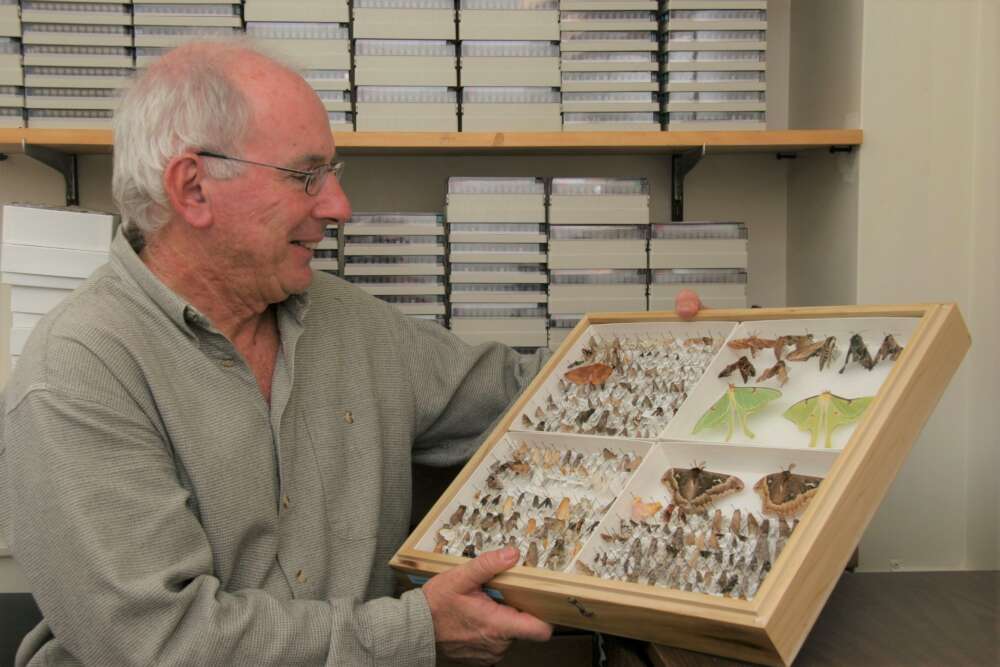 Dr. Paul Hebert holds up and admires a moth collection