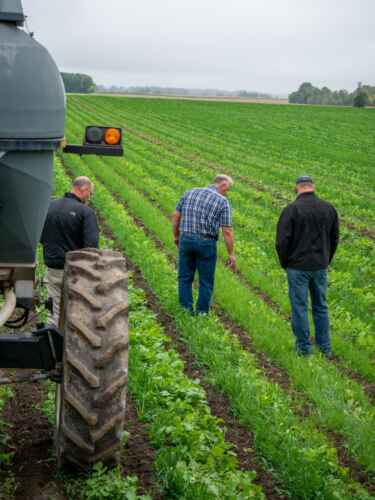 A trio of farmers inspect a lush green field on an overcast day. Large farm equipment dominate the left-hand side of the screen