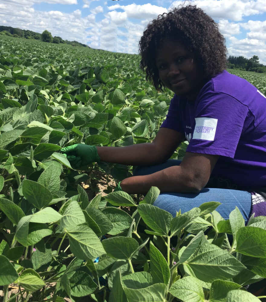 Dr. Tolulope Mafa-Attoye in a soybean field