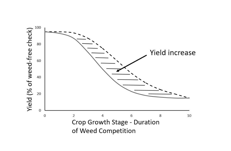 A black and white graph displaying the yield curve of crops in the presence of weeds. The y axis is labelled "Yield (% of weed-free check)" and the numbers go up in by 20, starting at zero and ending at 100. The x axis is labelled "Crop Growth Stage - Duration" and the numbers begin at zero and go up to 10, by twos. The graph shows two curves, one is straight and is the curve as currently understood. The second, is dotted and is a projected curve. In between both curves are dashed vertical lines. An arrow points to this section with the words "Yield increase".