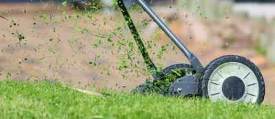 ‘No Mow May’ Bad Idea for Canadian Lawns, Say U of G Turfgrass Experts