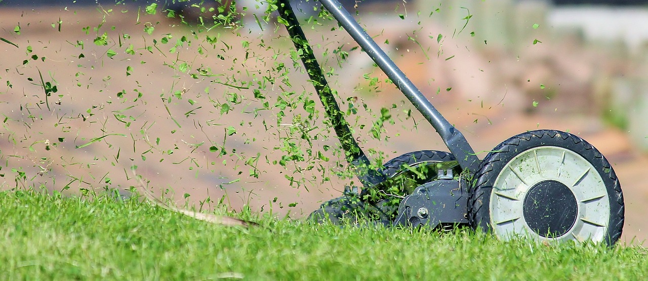a push reel lawn mower chops up grass