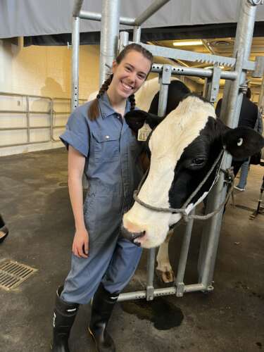 A person in blue coveralls and black rubber boots with brown braided hair smiles beside a black and white cow at the Ontario Veterinary College.