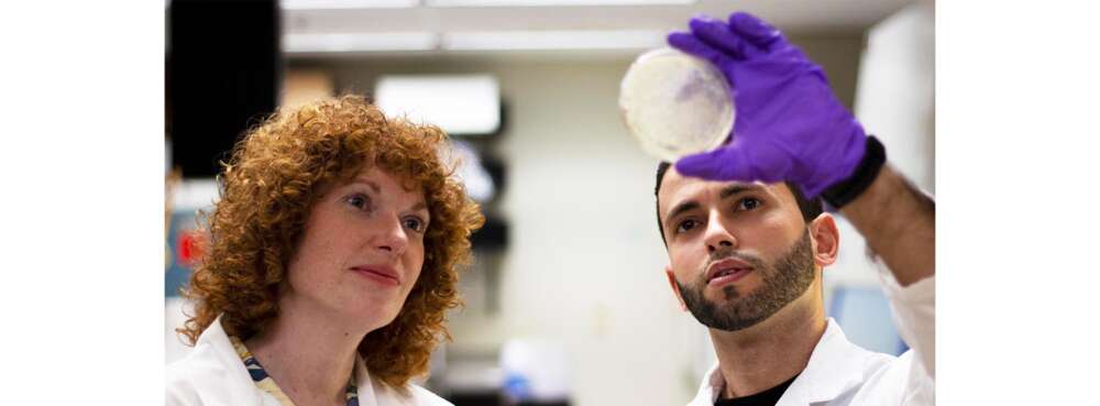 Two people in lab coats look at a petri dish held up to the light by a gloved hand