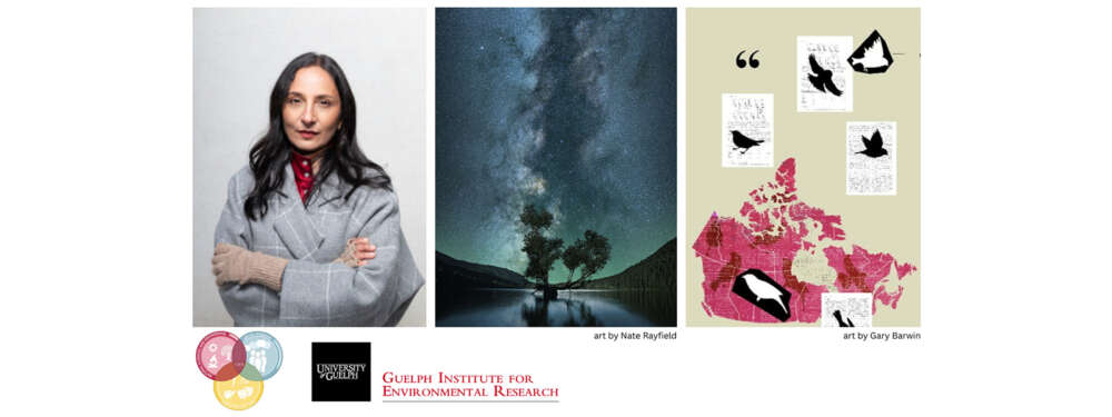 A triptych of photos of Dr. Madhur Anand, an art piece of a starry night sky, and an art piece showing a map of Canada with birds flying above