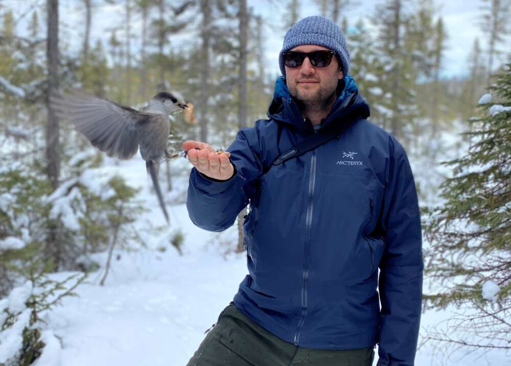 a person in a hat and jacket stands in a snowy forest and feeds a bird from his hand