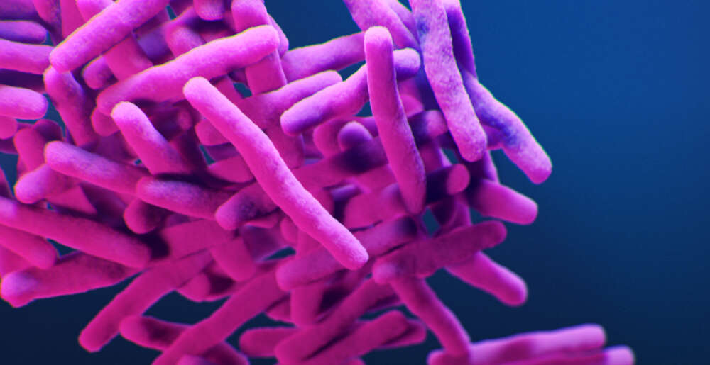 An illustration of Mycobacteria spirochetes