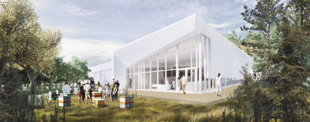 An artist's rendering of the new Honey Bee Research Centre shows a large white, glass-filled building with fruit trees and apiary boxes outside