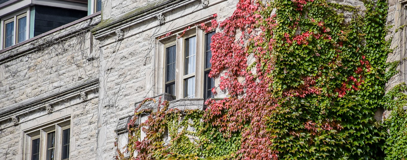 Close up of red and green ivy on Johnston Hall