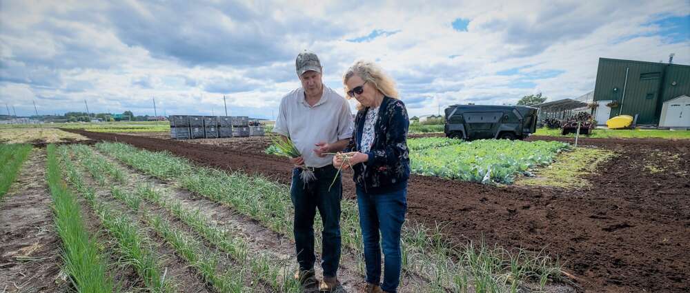 Two people stand in a field on a sunny day and inspect green onionsamples from a test polt