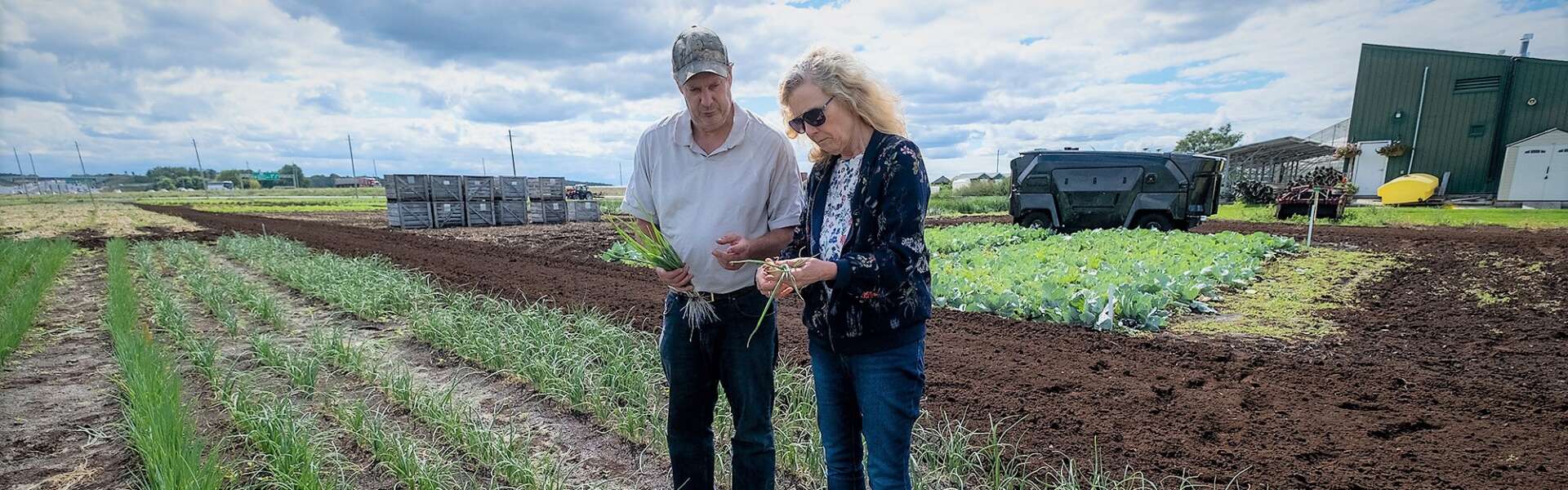 Two people stand in a field on a sunny day and inspect green onionsamples from a test polt