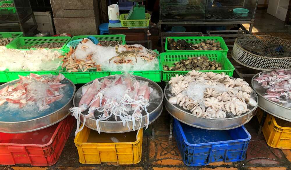 several kinds of shellfish sit in ice-filled containers at an outdoor market