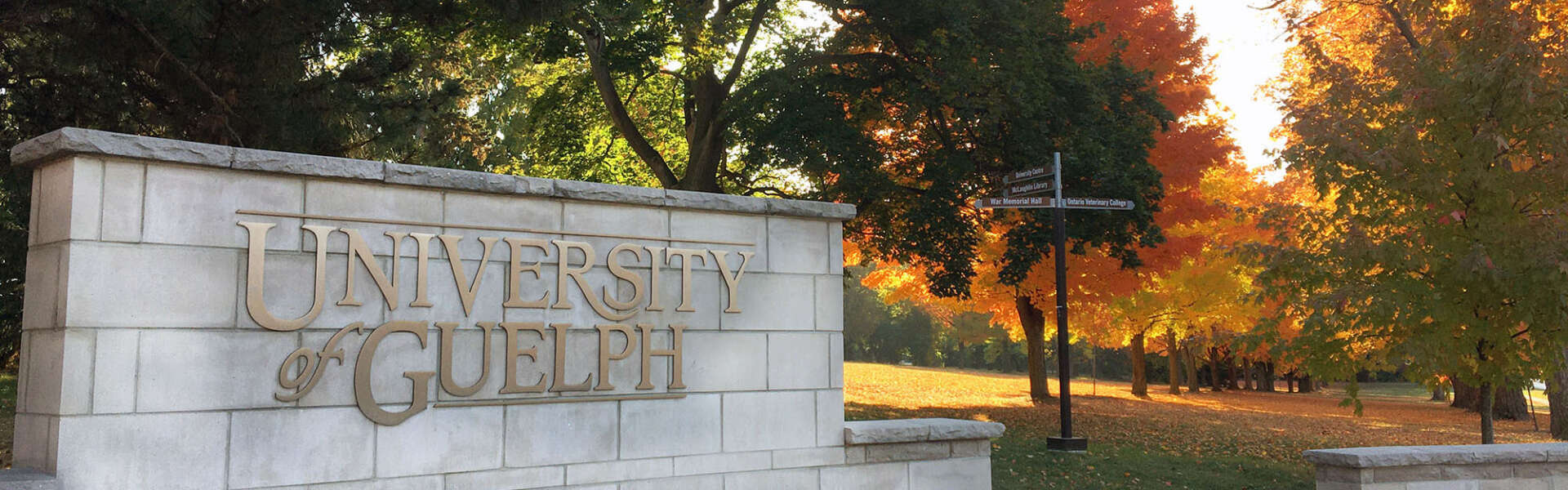 The words University of Guelph on a concrete stone wall sign with colourful fall trees behind