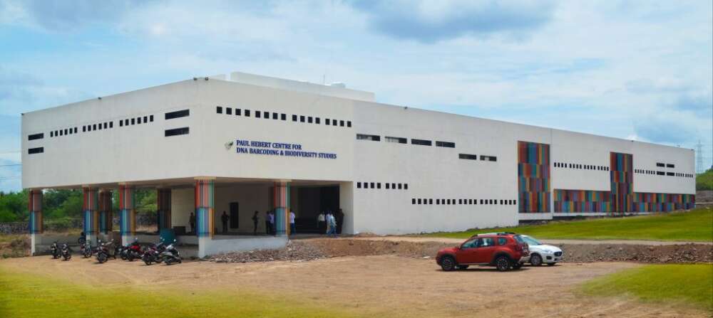A stone university building with colourful stripes on the sides sits amid a dirt field
