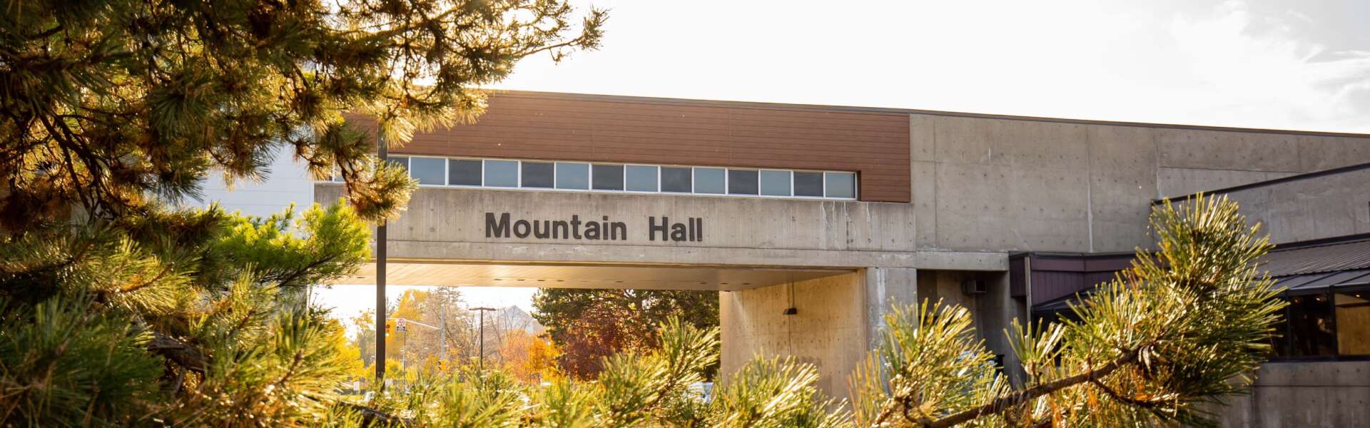 the sign for Mountain Hall residence is shown between pine tree branches