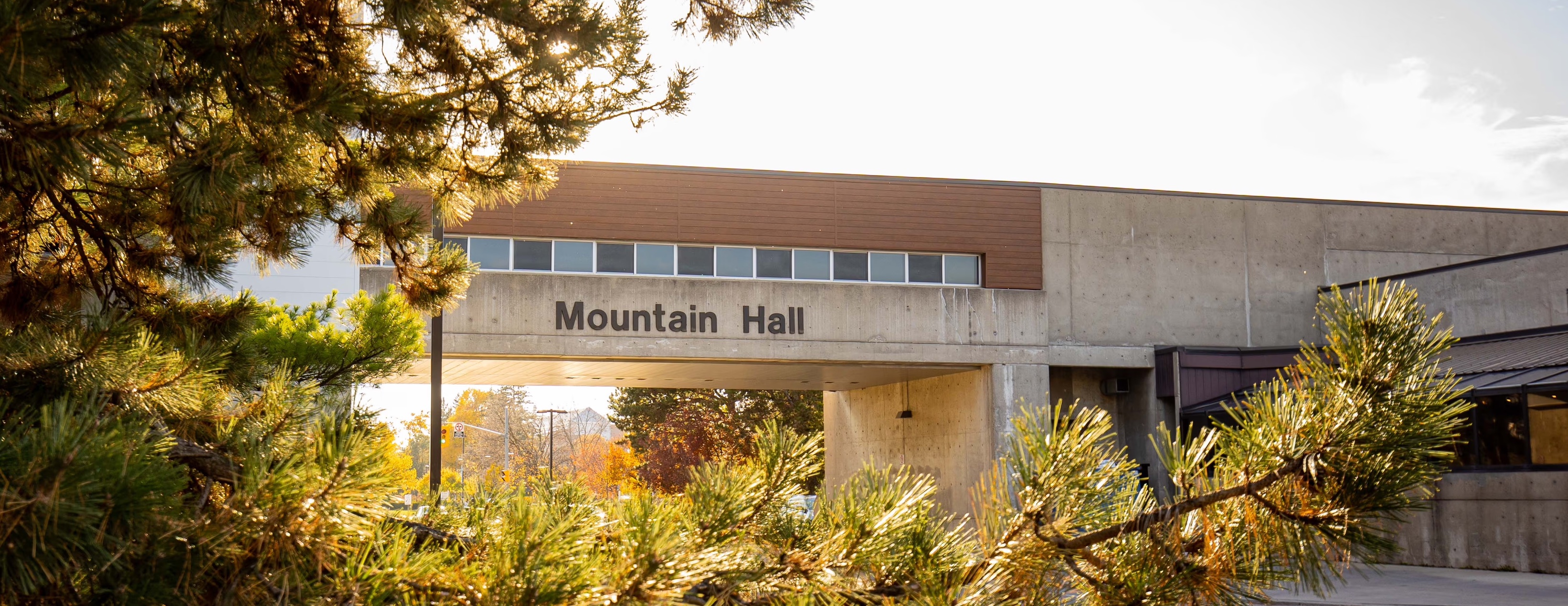 the sign for Mountain Hall residence is shown between pine tree branches