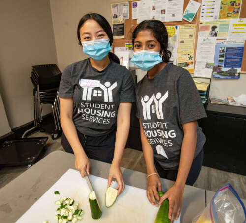 Two people cutting vegetables on a cutting board stand together in masks smiling for the camera.