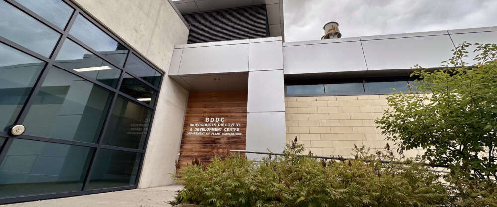 The exterior of the BDDC building, with large glass windows and metal-on-wood sign on with bushes in the foreground