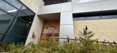 WB Family Foundation Invests $1M to Advance Sustainable Materials Research at U of G 