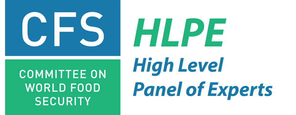 Logo for the High Level Panel of Experts on Food Security and Nutrition (HLPE-FSN) of the United Nations Committee on World Food Security