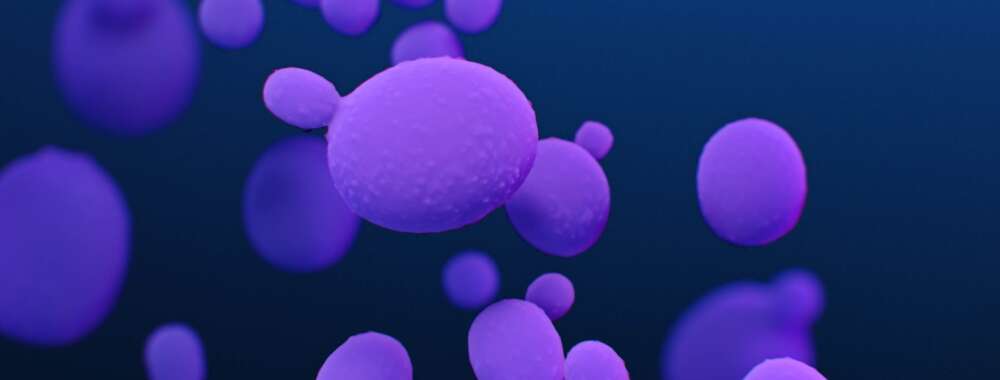 Small gobules on a blue background illustrates candida fungus