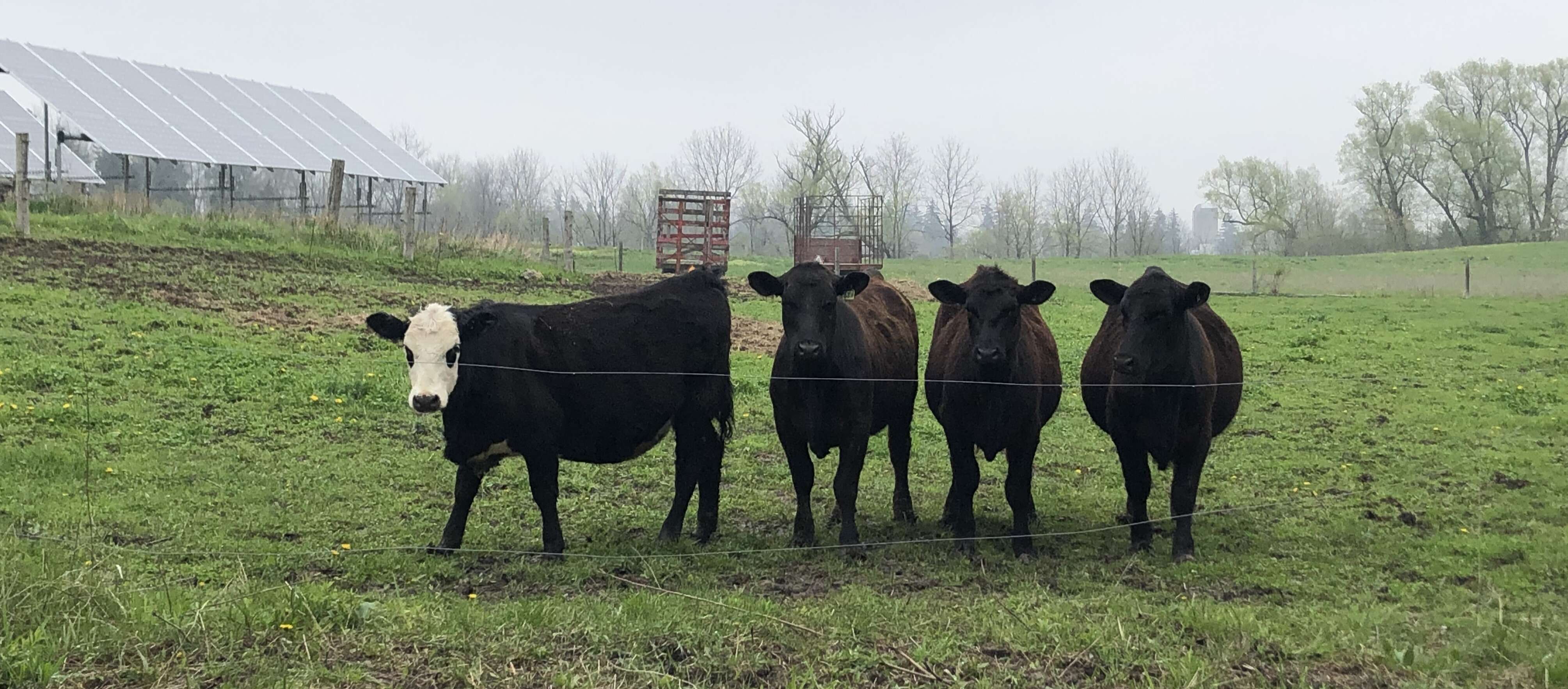 Canada's disappearing 'average farmer' means one-size-fits-all