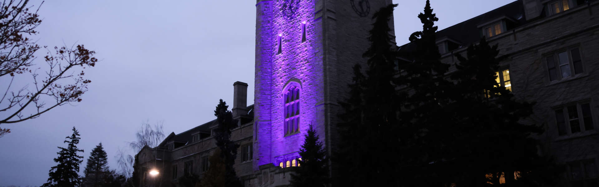 The tall tower of Johnston Hall on the U of G campus is shown in the evening, lit in purple