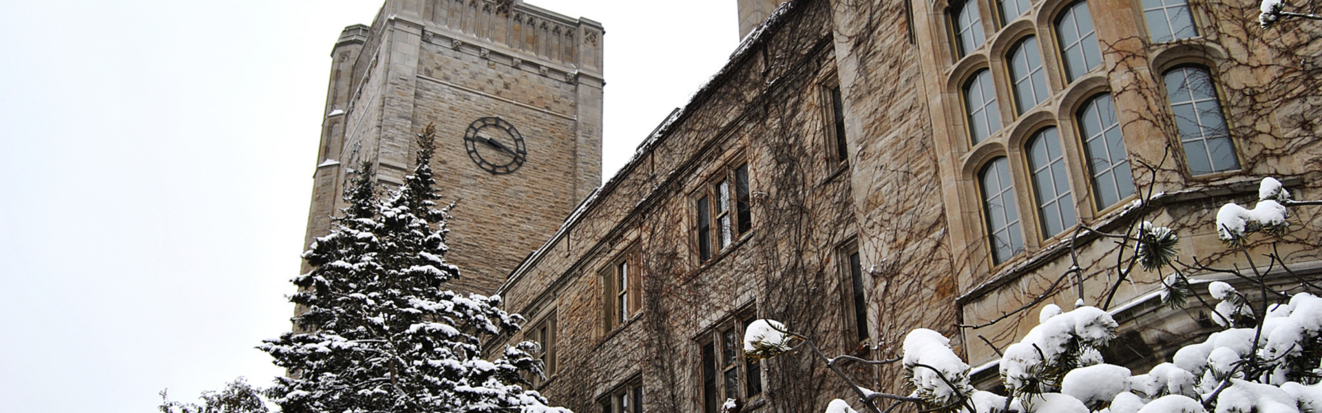 View looking up at Johnston Hall in the winter, the bushes in front laden with snow.