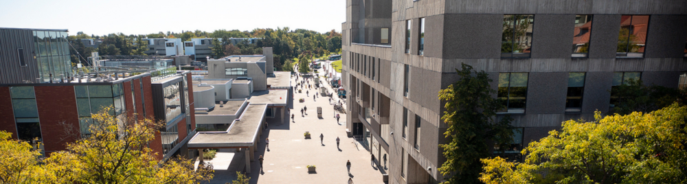 Aerial view of Winegard Walk on the University of Guelph campus, with students walking down the path.