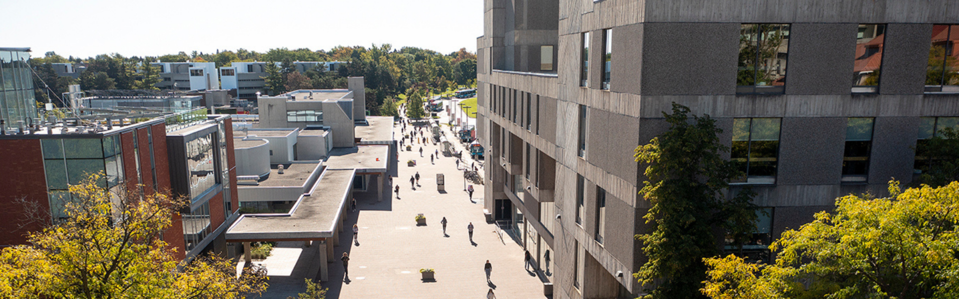 Aerial view of Winegard Walk on the University of Guelph campus, with students walking down the path.