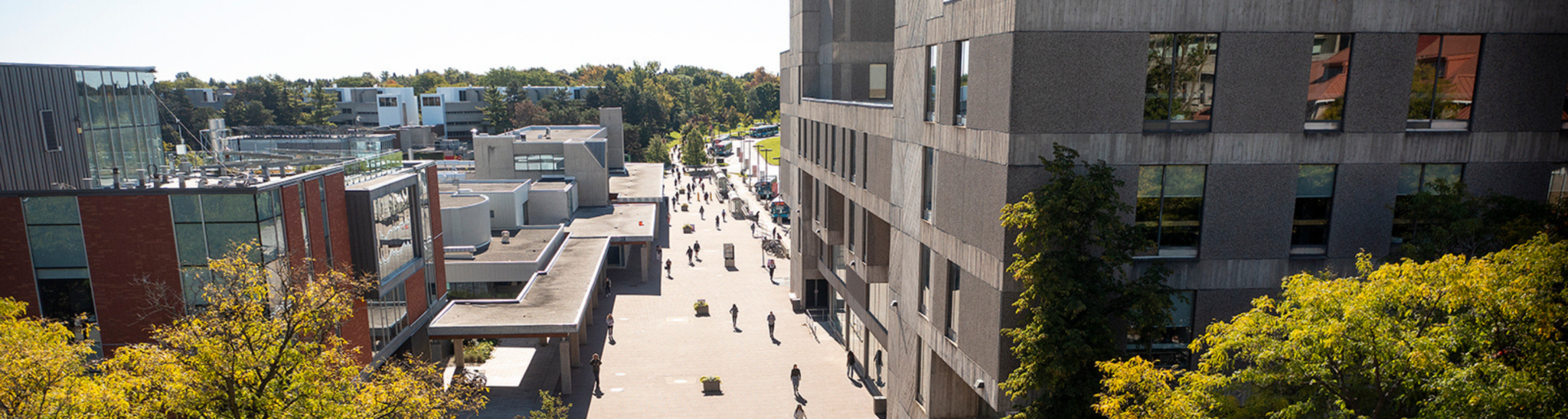 Guelph Transit Strike Scheduled for November 7: Service Disruptions and Alternatives