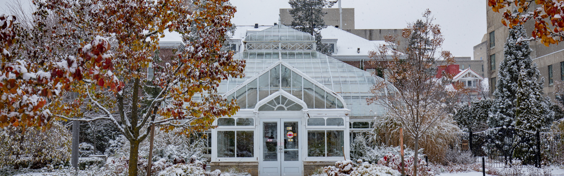 The conservatory on a snowy winter day.