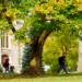 Students walk in front of War Memorial Hall on a fall day.