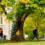 Students walk in front of War Memorial Hall on a fall day.