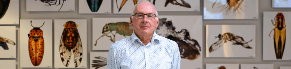A man in a white and blue button-up shirt wearing black wire-framed glasses stands in front of a wall of photos of insects with his hands behind his back, looking into the camera.