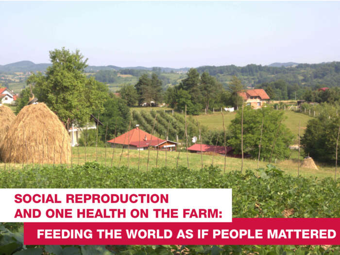 Social reproduction and One Health on the Farm: Feeding the world as if people mattered. Plants growing on a farm.