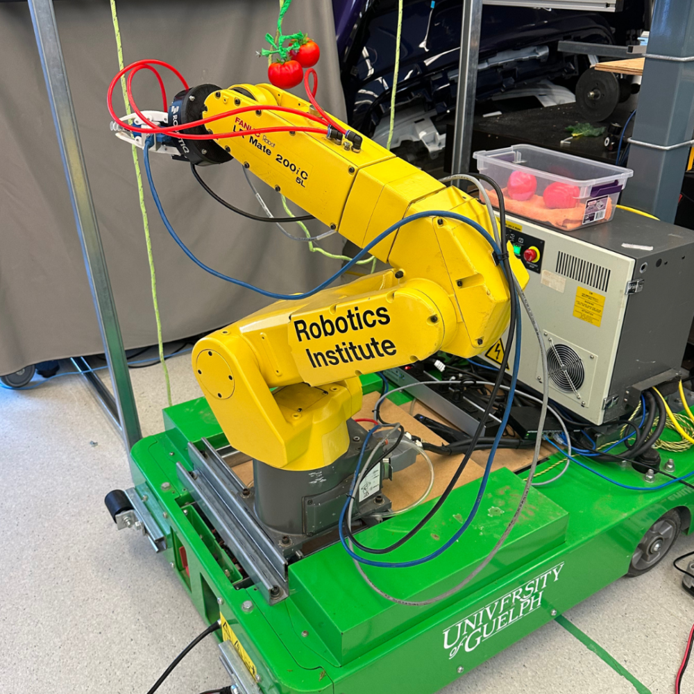 Yellow crane-like robot on a platform, extended towards dangling model tomatoes in an engineering lab. Written on robot arm is "Robotics Institute." 