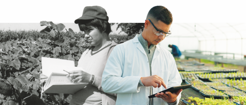 Two researchers across time standing side-by-side, one in black and white and the other in colour, both surrounded by platns and studying notes intently