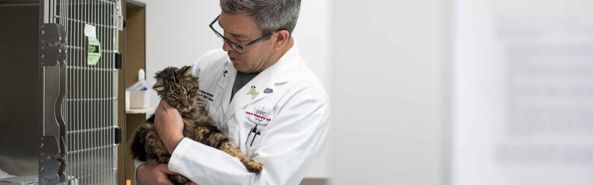 A man in a lab coat holds a grey cat.